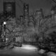 Illustration for article titled New Yorks Central Park never looked so beautiful as in these photos